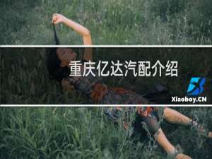 重庆亿达汽配介绍