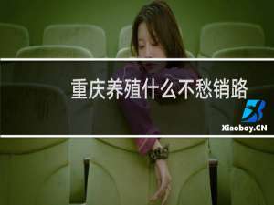 重庆养殖什么不愁销路
