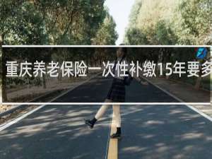 重庆养老保险一次性补缴15年要多少钱