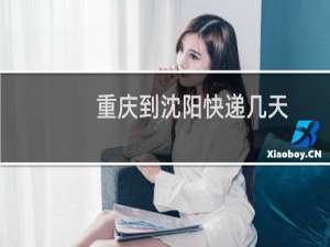 重庆到沈阳快递几天