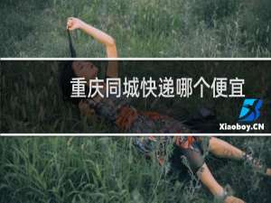 重庆同城快递哪个便宜