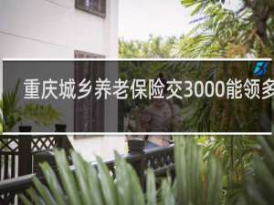 重庆城乡养老保险交3000能领多少