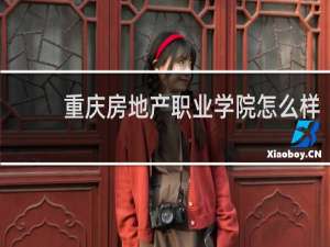 重庆房地产职业学院怎么样