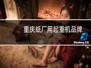 重庆纸厂用起重机品牌