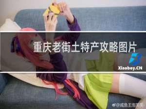 重庆老街土特产攻略图片