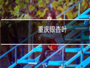 重庆银杏叶
