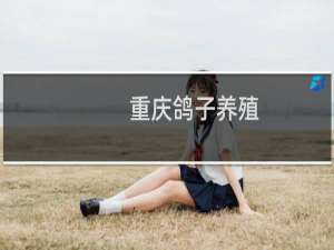 重庆鸽子养殖