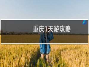 重庆1天游攻略