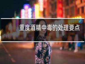 重度酒精中毒的处理要点是