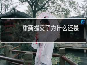 重新提交了为什么还是不通过