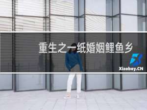 重生之一纸婚姻鲤鱼乡