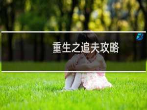 重生之追夫攻略