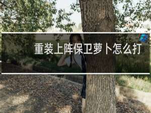 重装上阵保卫萝卜怎么打