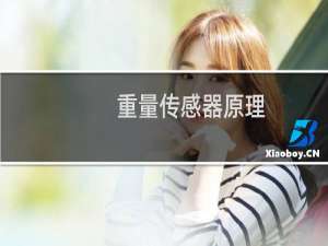 重量传感器原理