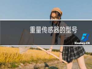 重量传感器的型号