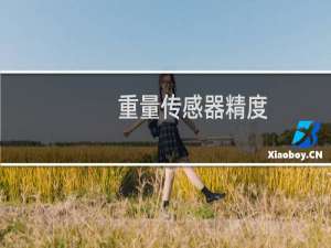 重量传感器精度