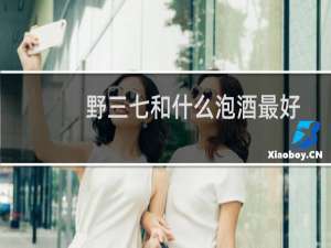 野三七和什么泡酒最好