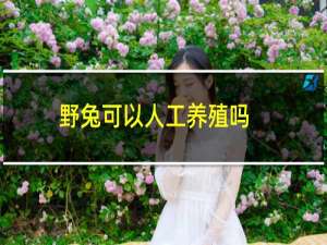 野兔可以人工养殖吗