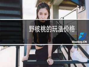 野核桃的玩法价格