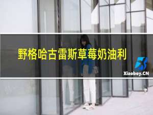 野格哈古雷斯草莓奶油利口酒怎么兑