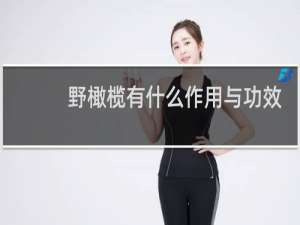 野橄榄有什么作用与功效