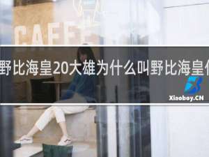 野比海皇 大雄为什么叫野比海皇什么梗