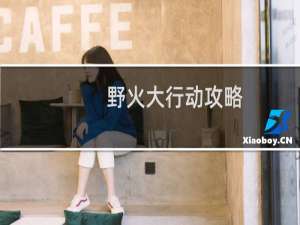 野火大行动攻略