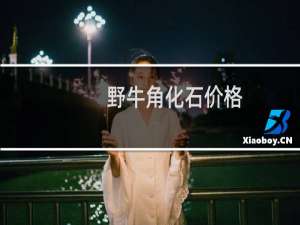 野牛角化石价格