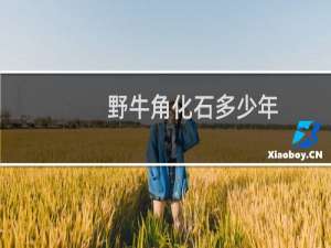 野牛角化石多少年