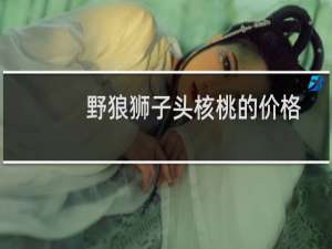 野狼狮子头核桃的价格