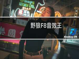【野狼F8音效王】免费野狼F8音效王软件下载