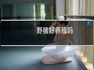 野猪好养殖吗