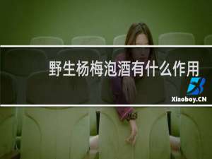 野生杨梅泡酒有什么作用