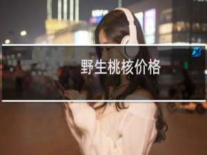 野生桃核价格