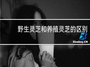 野生灵芝和养殖灵芝的区别