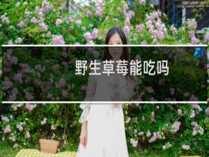 野生草莓能吃吗