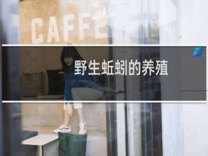 野生蚯蚓的养殖