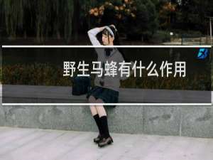 野生马蜂有什么作用