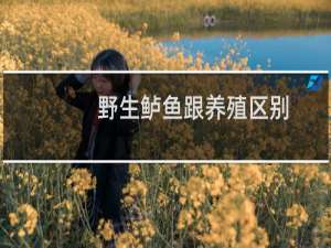 野生鲈鱼跟养殖区别