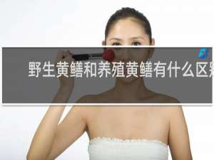 野生黄鳝和养殖黄鳝有什么区别