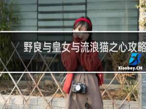 野良与皇女与流浪猫之心攻略