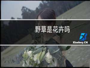 野草是花卉吗