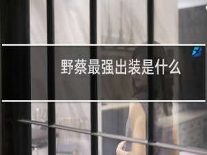 野蔡最强出装是什么