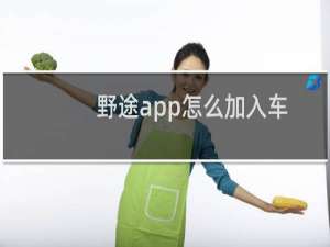 野途app怎么加入车队?野途app加入车队方法介绍