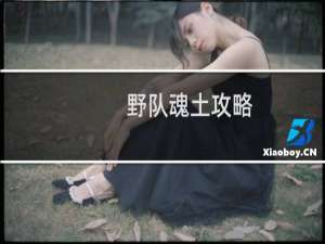 野队魂土攻略