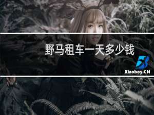 野马租车一天多少钱