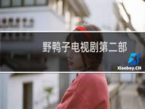 野鸭子电视剧第二部