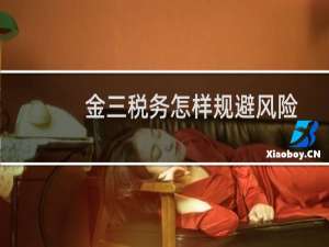 金三税务怎样规避风险