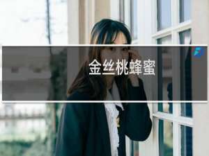 金丝桃蜂蜜