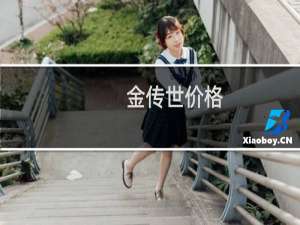 金传世价格